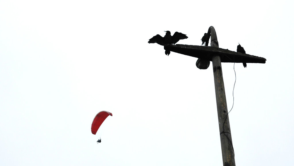 2010-07-13-Lima-37.jpg