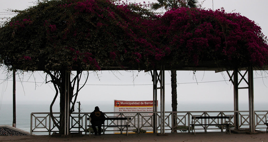 2010-07-13-Lima-70.jpg