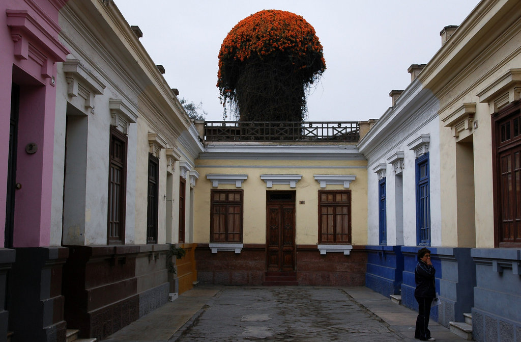 2010-07-13-Lima-81.jpg