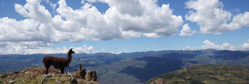 2010-07-22-Kuelap-93.jpg