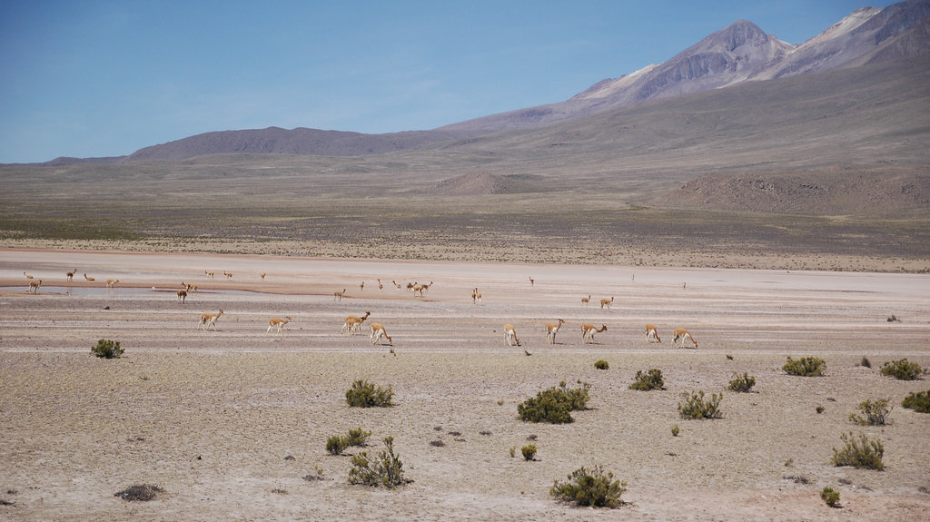 2010-08-17-Canon-Del-Colca-13.jpg