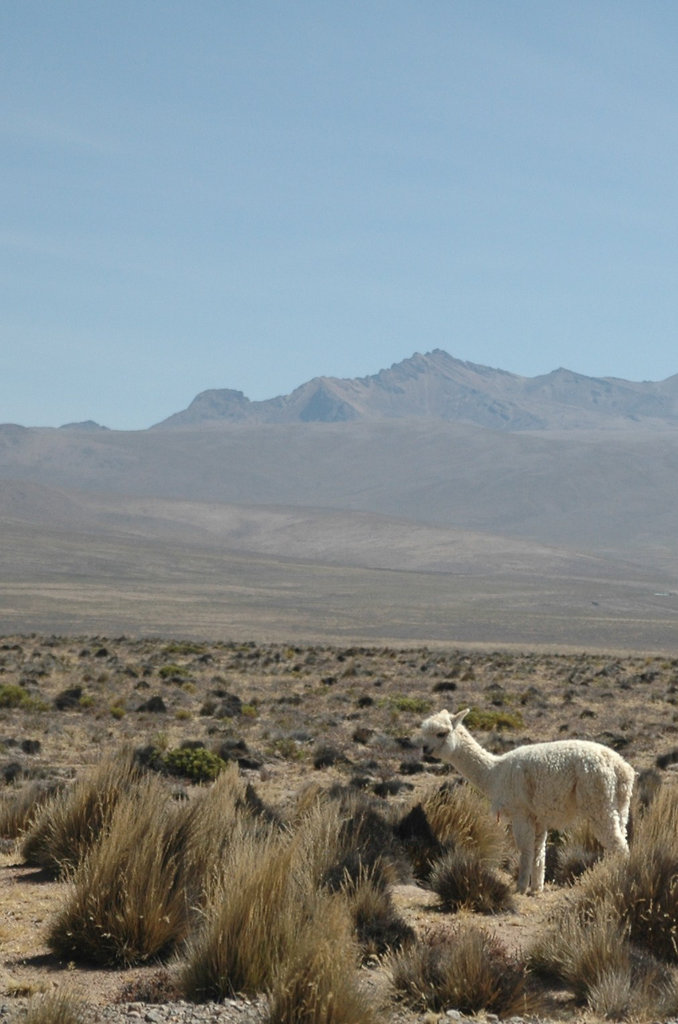 2010-08-17-Canon-Del-Colca-15.jpg