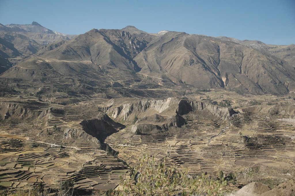 2010-08-17-Canon-Del-Colca-81.jpg