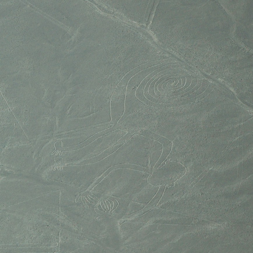 2010-08-21-Ligne-Nasca-21.jpg