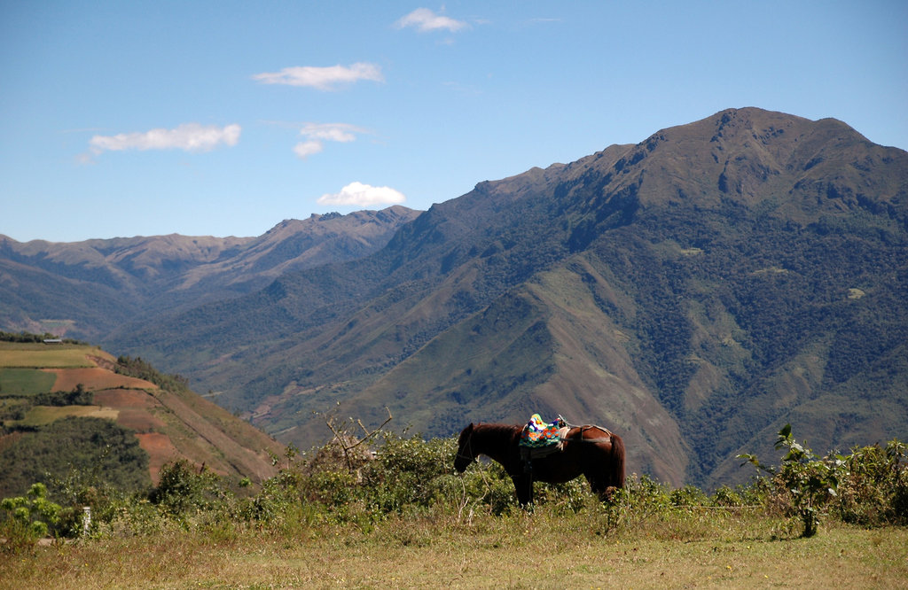 2010-07-22-Kuelap-5.jpg