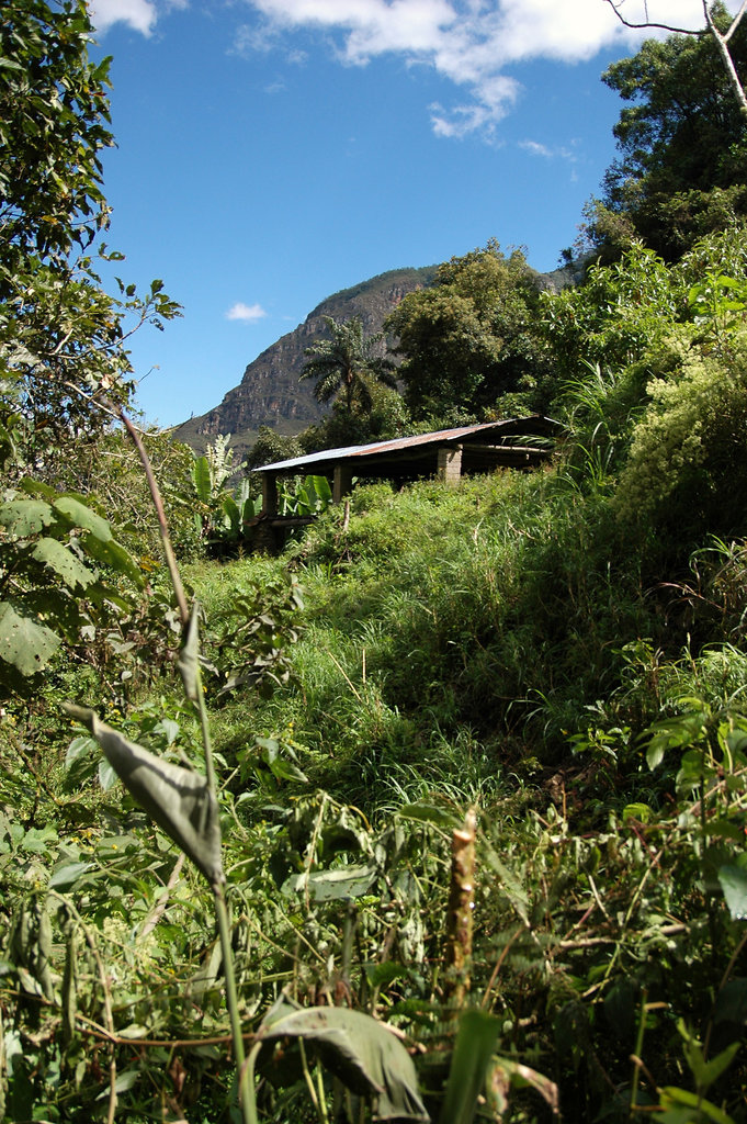 2010-07-23-Gocta-18.jpg
