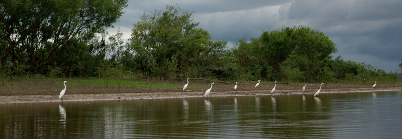 2010-07-14-Iquitos-127.jpg