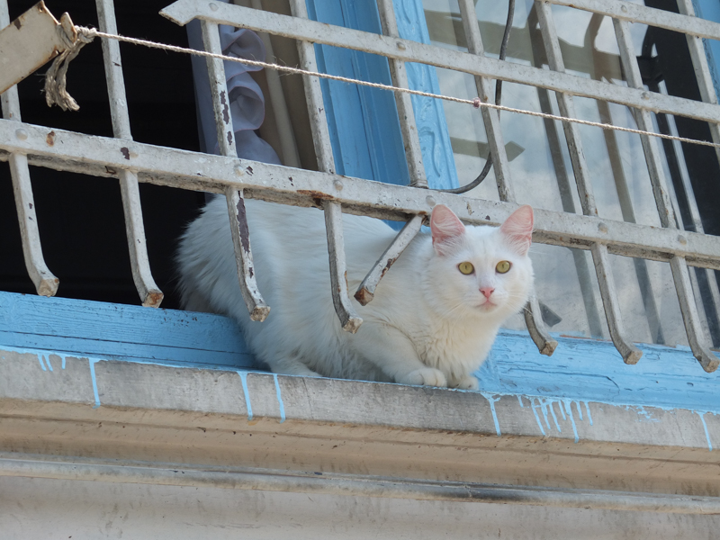 20130512-Istanbul-5.jpg