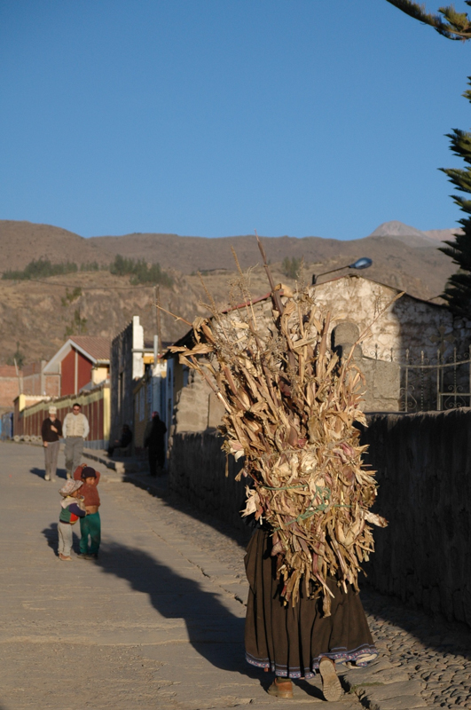 2010-08-17-Canon-Del-Colca-105.jpg