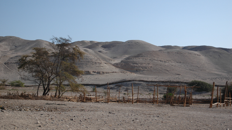 2010-08-20-Nasca-99.jpg
