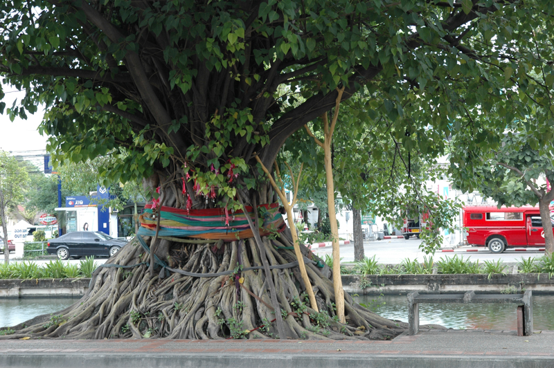 DSC-0008.jpg