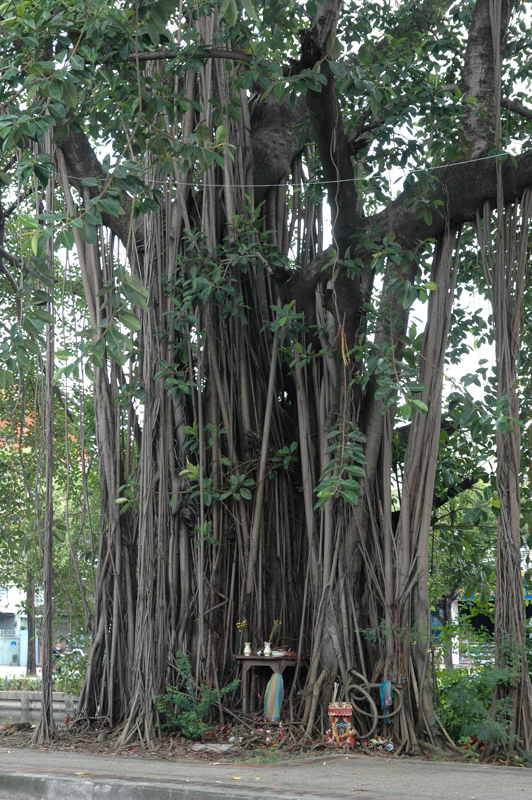 DSC-0011-2.jpg