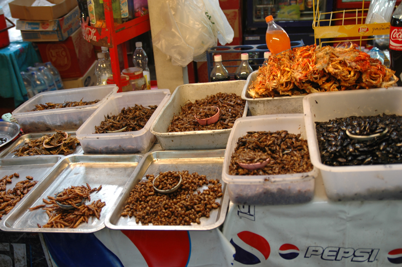 DSC-0157.jpg