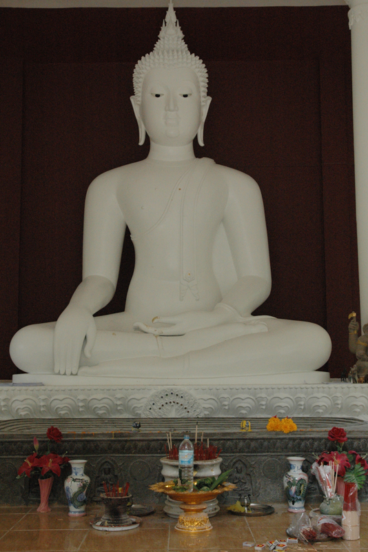 DSC-0175.jpg
