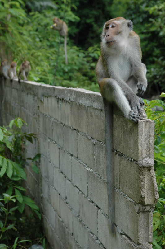 DSC-0029-2.jpg