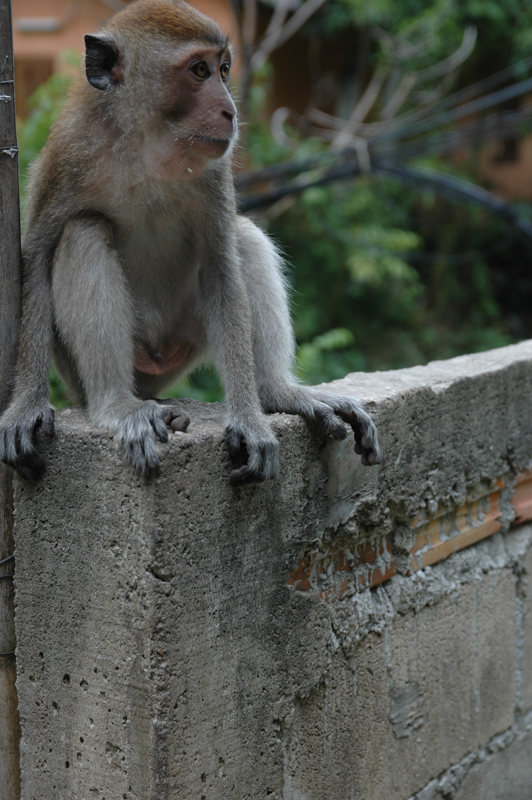 DSC-0030-2.jpg